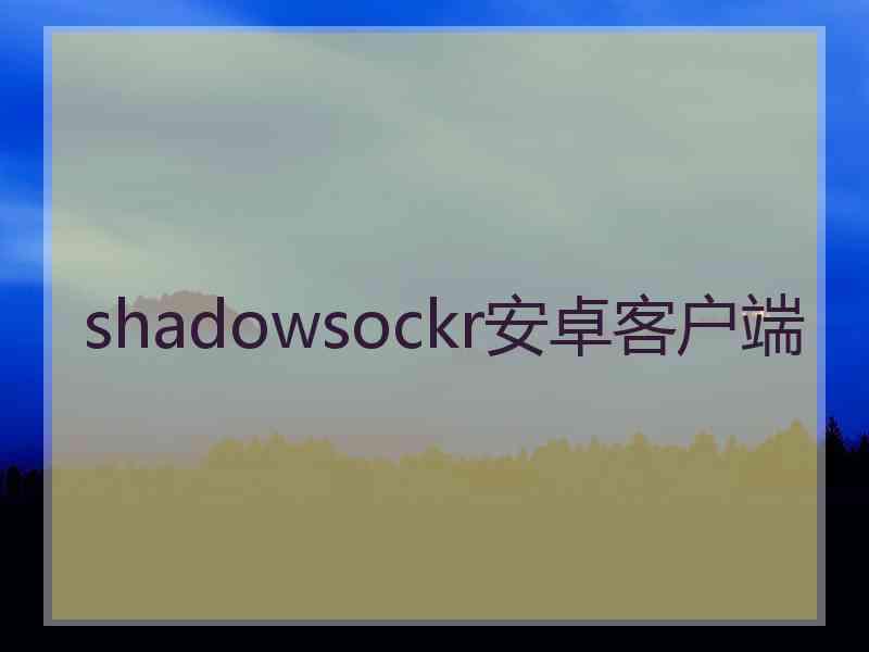 shadowsockr安卓客户端