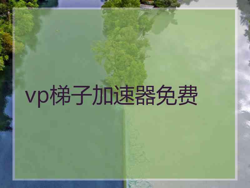 vp梯子加速器免费