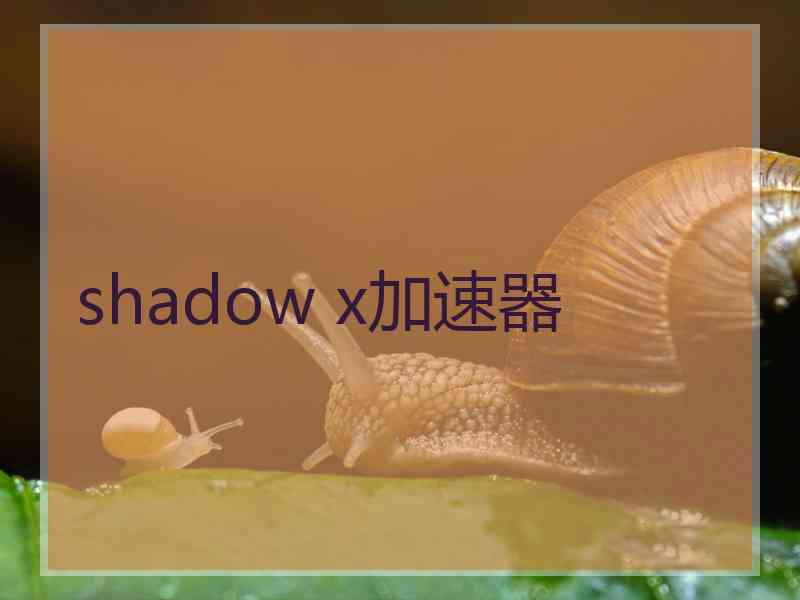 shadow x加速器