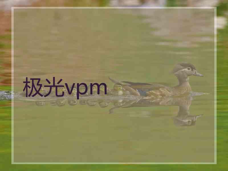 极光vpm