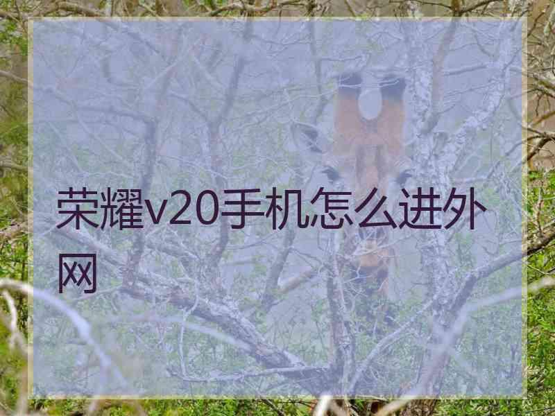 荣耀v20手机怎么进外网