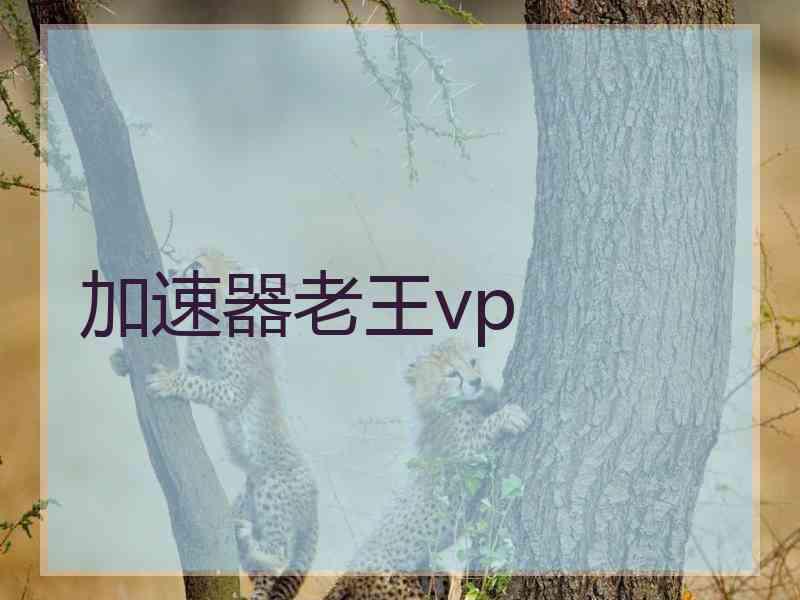 加速器老王vp