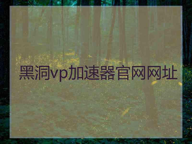 黑洞vp加速器官网网址