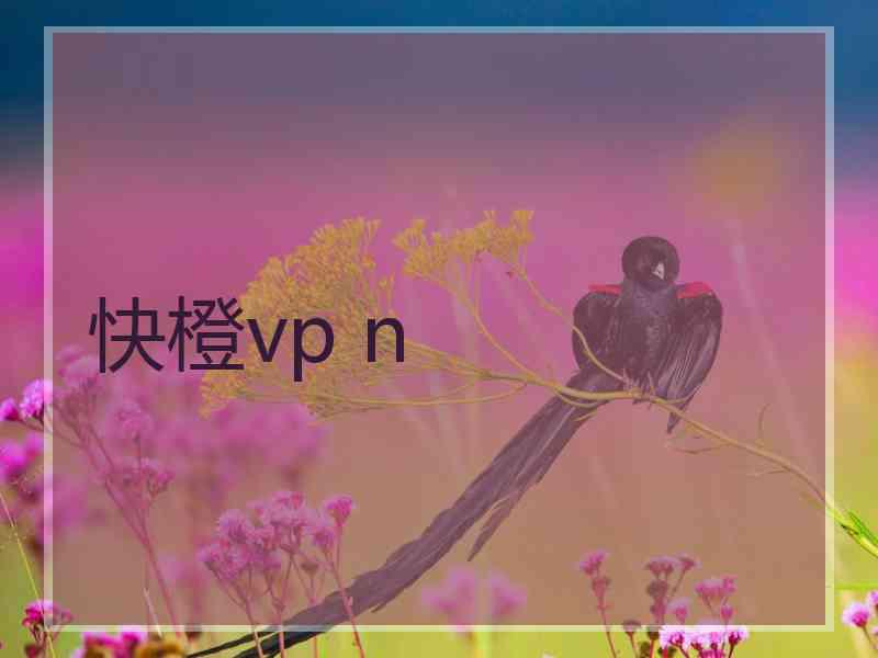 快橙vp n