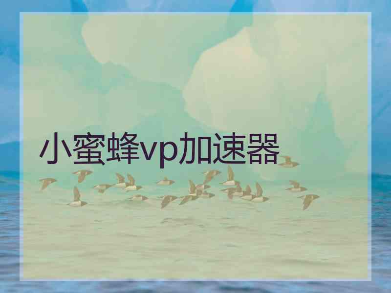 小蜜蜂vp加速器