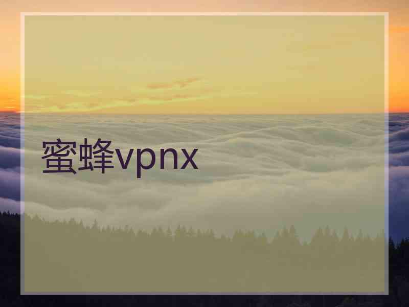 蜜蜂vpnx