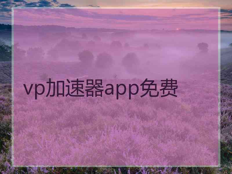 vp加速器app免费