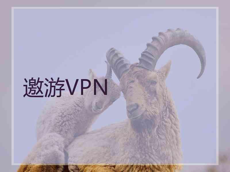 邀游VPN