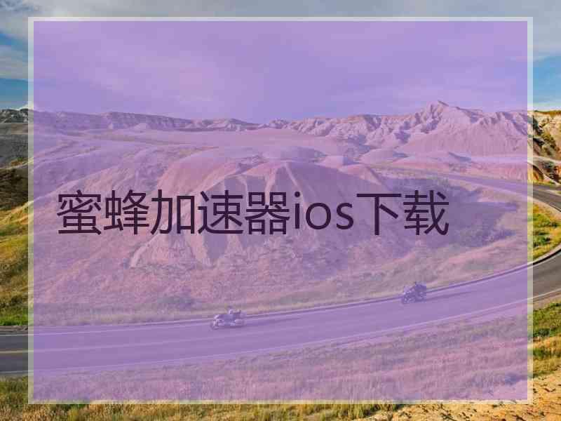 蜜蜂加速器ios下载