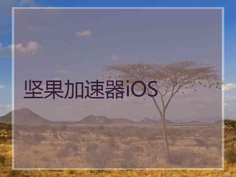 坚果加速器iOS