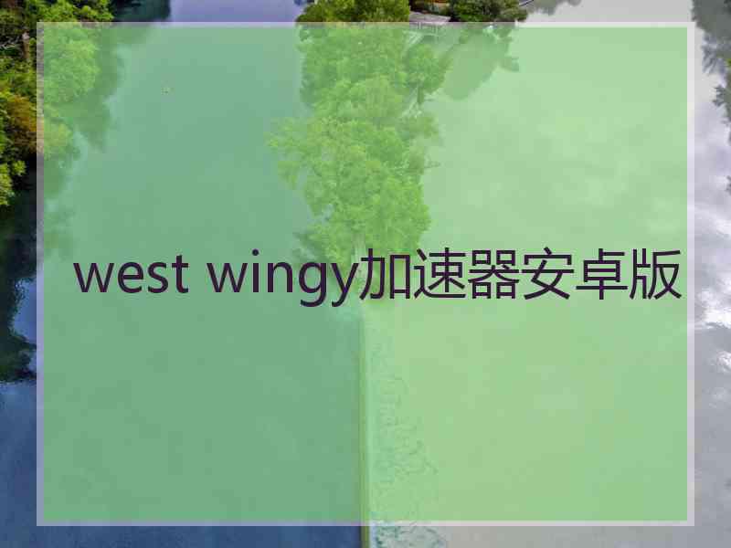 west wingy加速器安卓版