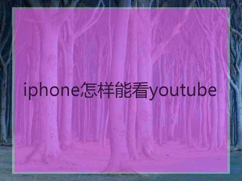 iphone怎样能看youtube