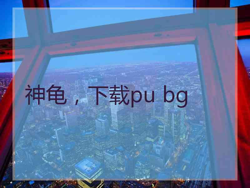 神龟，下载pu bg