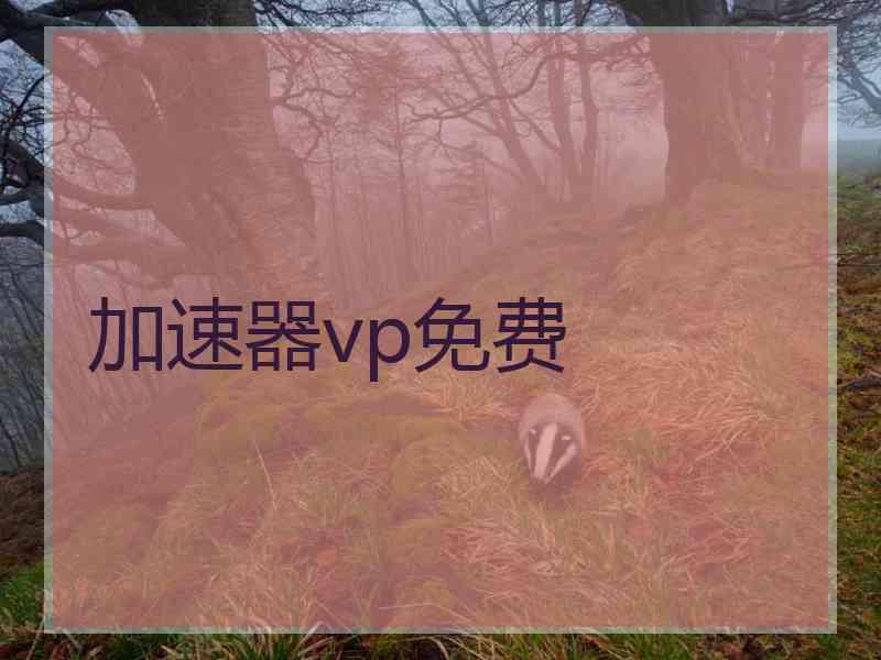 加速器vp免费