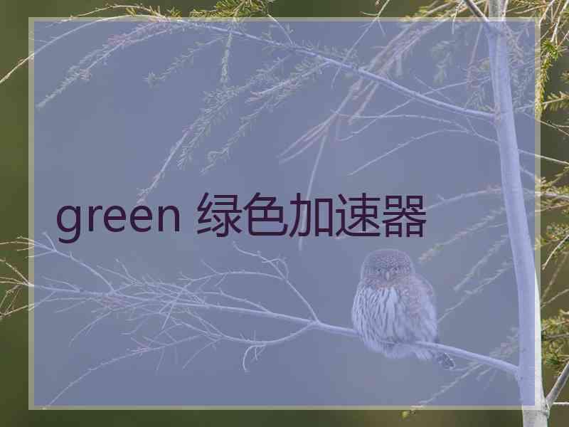 green 绿色加速器