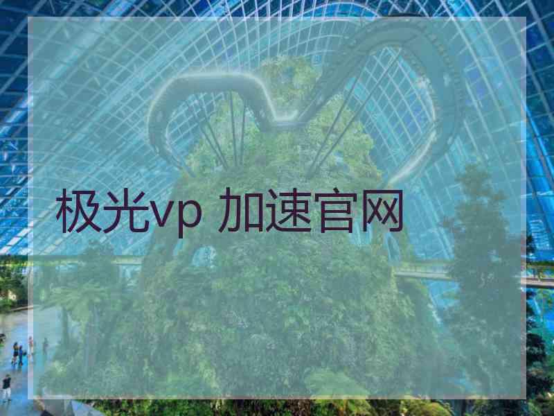 极光vp 加速官网