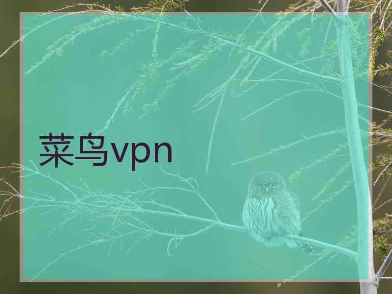 菜鸟vpn