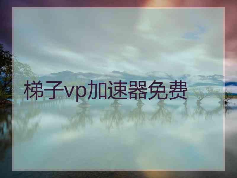 梯子vp加速器免费