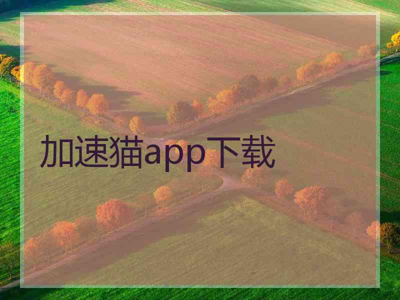 加速猫app下载