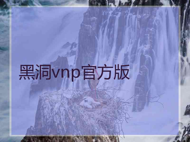 黑洞vnp官方版