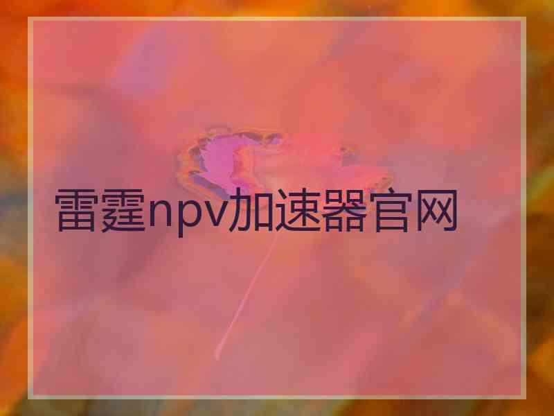 雷霆npv加速器官网