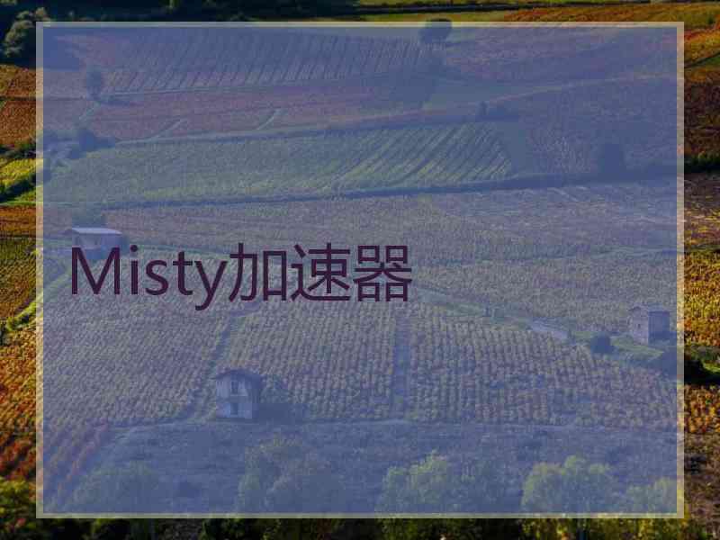 Misty加速器