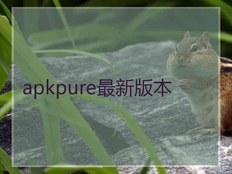 apkpure最新版本