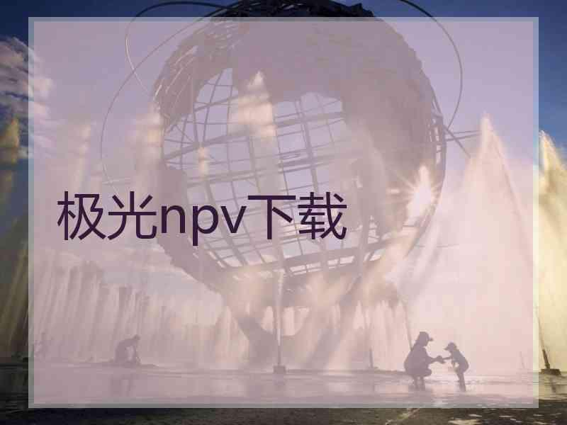 极光npv下载