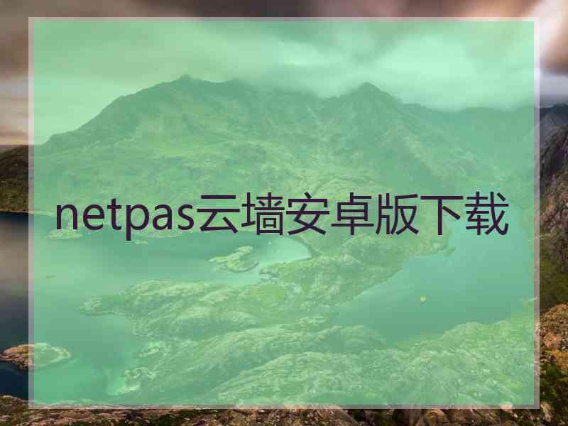 netpas云墙安卓版下载