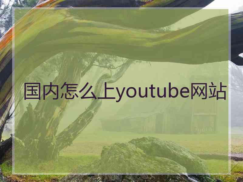 国内怎么上youtube网站