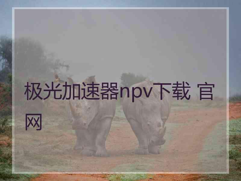 极光加速器npv下载 官网