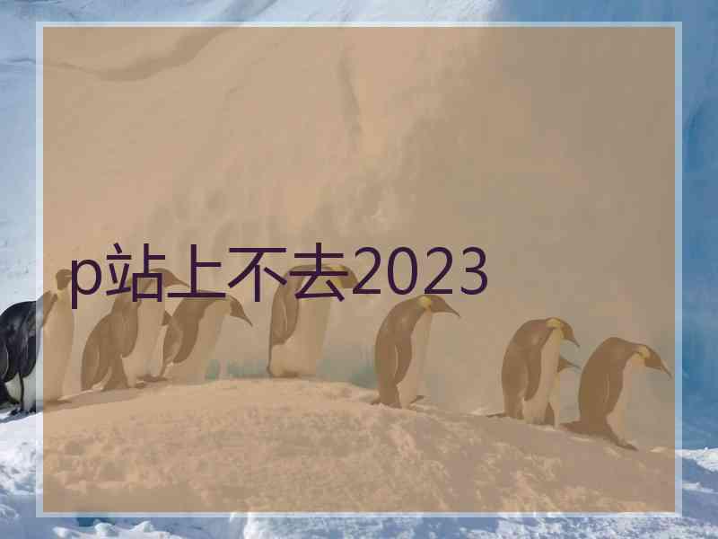 p站上不去2023