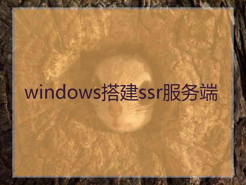 windows搭建ssr服务端