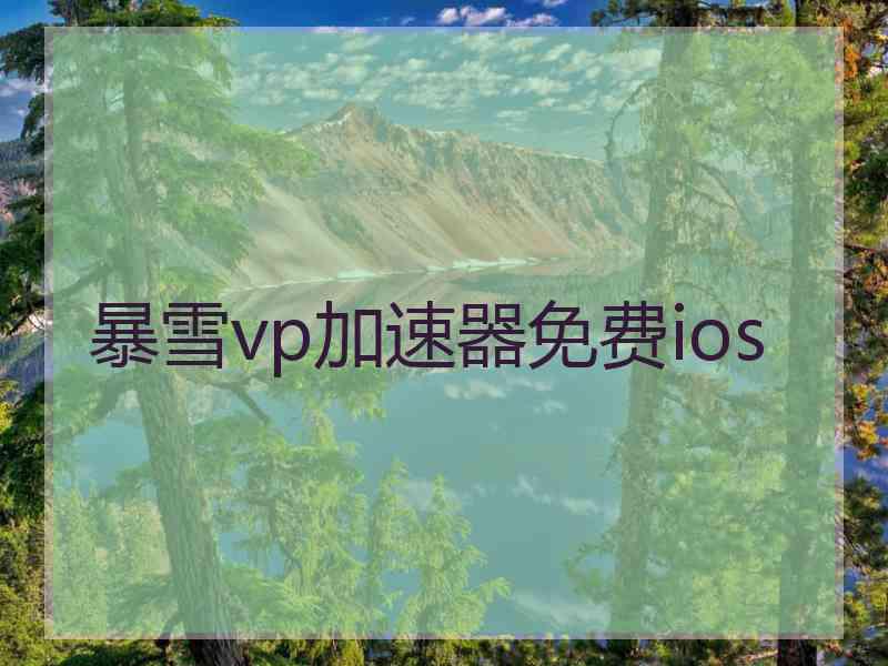 暴雪vp加速器免费ios