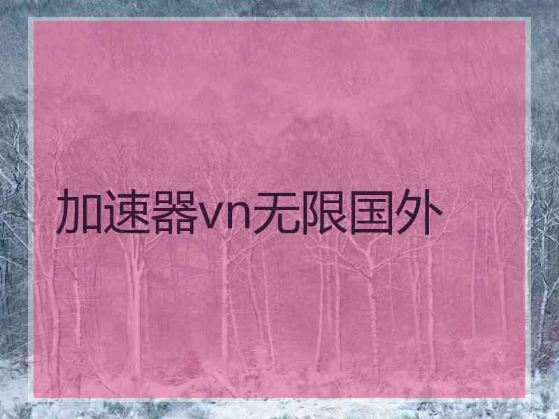 加速器vn无限国外