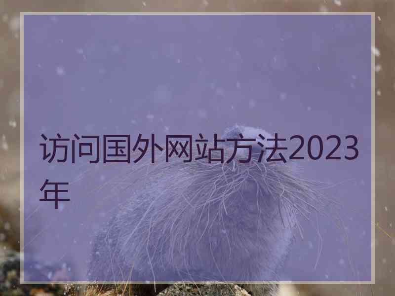 访问国外网站方法2023年