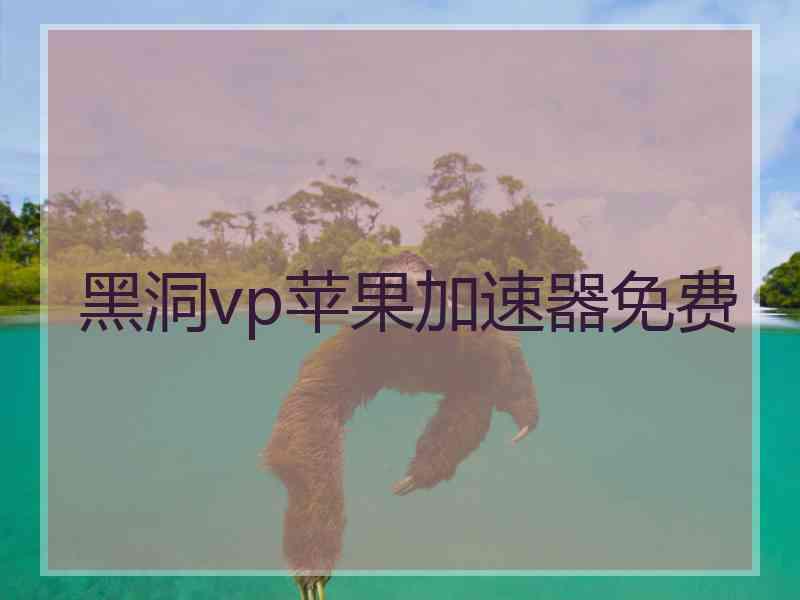 黑洞vp苹果加速器免费