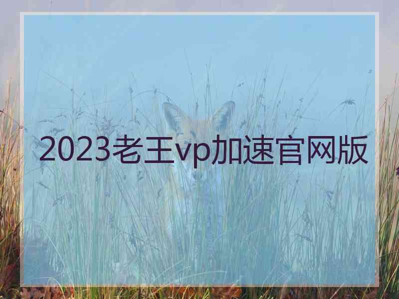 2023老王vp加速官网版