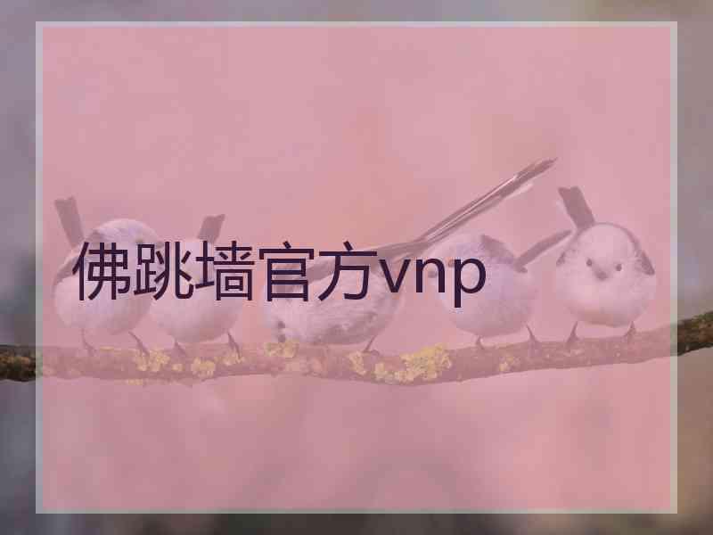 佛跳墙官方vnp