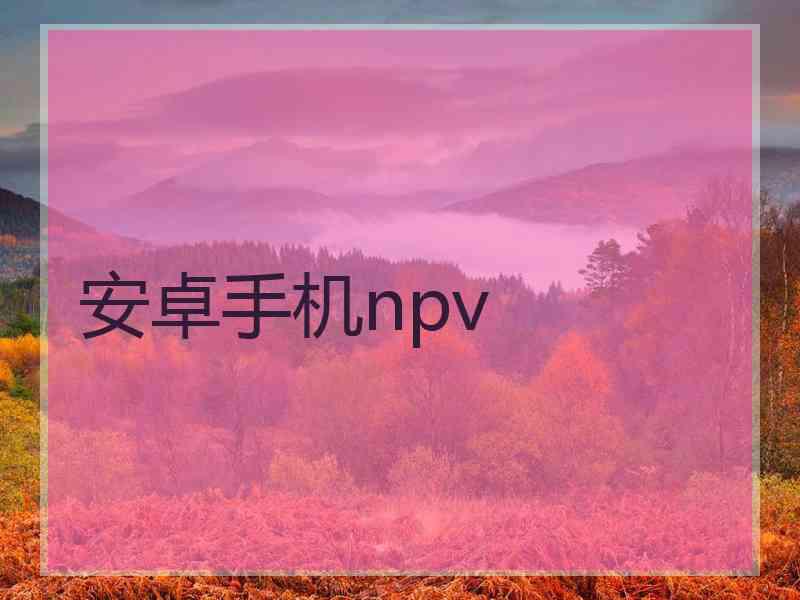 安卓手机npv