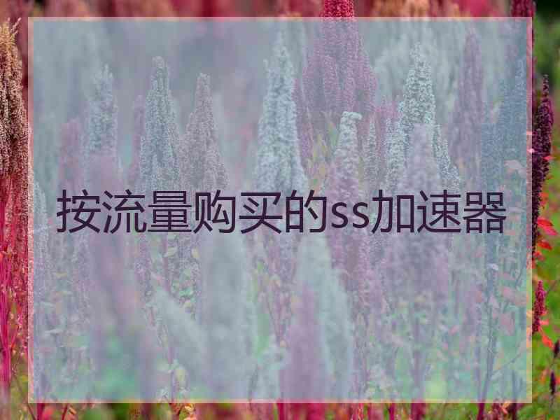 按流量购买的ss加速器