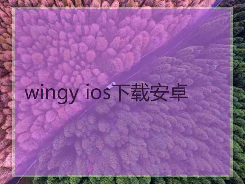 wingy ios下载安卓