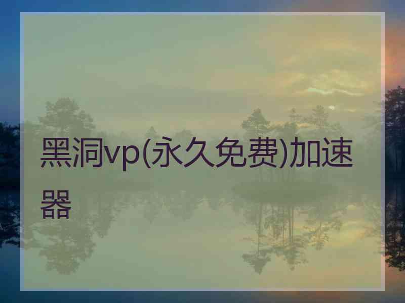 黑洞vp(永久免费)加速器