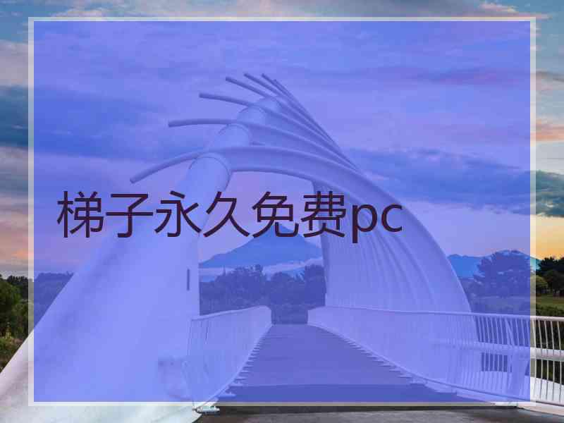 梯子永久免费pc