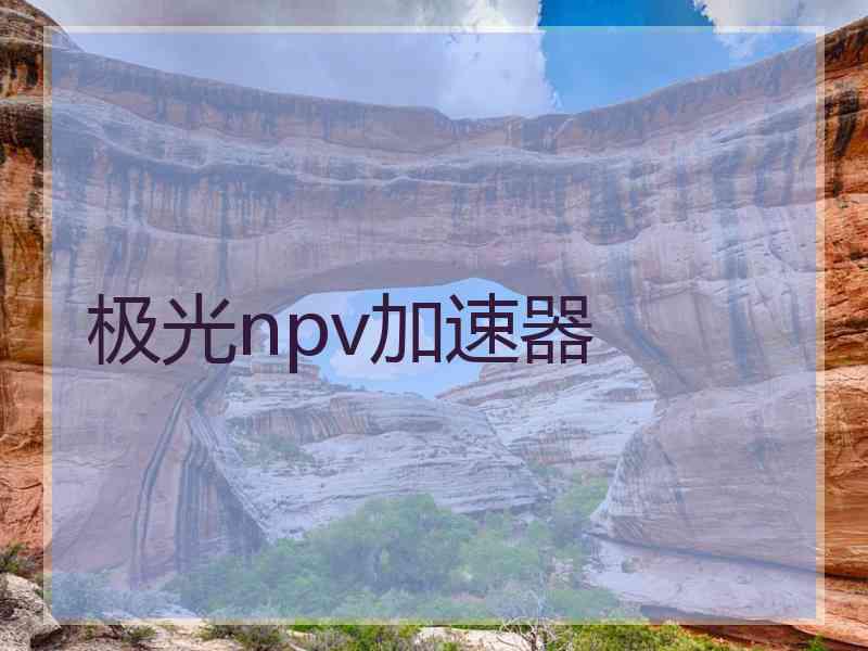 极光npv加速器