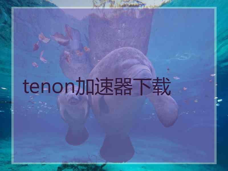 tenon加速器下载