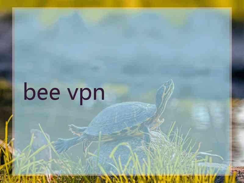 bee vpn